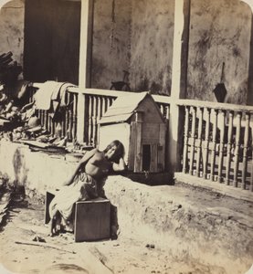 Hund fra Garvel (Martinique), 1870