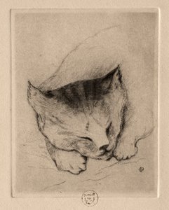 Seks ætsninger: Head of a Kitten, 1895.