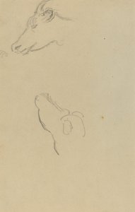 Hoved af en ko [recto] af Paul Gauguin