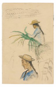 Skitser af figurer, Pandanus-blad og vaniljeplante af Paul Gauguin