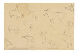 Skitser af forskellige dyr og et hoved (recto), skitser af et hoved, en figur i profil, anatomiske detaljer og dyr (verso) af Paul Gauguin