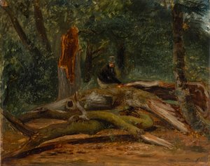Jeg er Wald von Villers-Cotterets