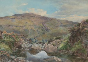 Leder af Loch Lomond, med Ben Lomond i distancen