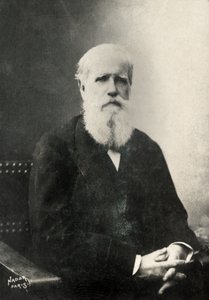 Portræt af Dom Pedro, kejser af Brasilien (foto) af Paul Nadar