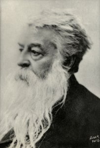 Portræt af Ernest Messonnier (foto) af Paul Nadar