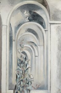 Convolvulus af Paul Nash