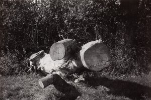 Find et objekt af Paul Nash