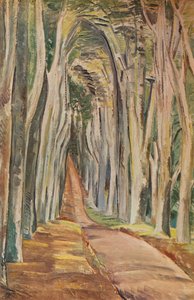 Savernake Forest, 1935