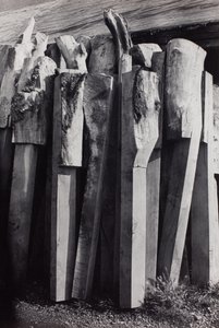 Totems