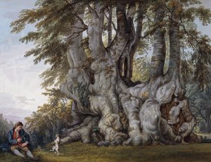 En dreng, der laver en hund til at danse ved kuglen af et gammelt knudret bøgetræ, af Paul Sandby