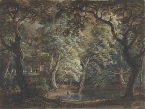Windsor Great Park, 1790-99. af Paul Sandby