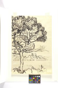 Antibes, Umbrella Pine In The Foreground (Antibes, Pin Pignon Au Premier Plan) (sort blækketegning med sort blyant på brunt vævet papir) af Paul Signac