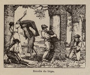  af Paul de Laubadere