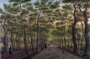 Herepaden i Haagse Bos af Paulus Constantin La Fargue