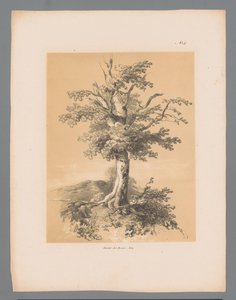 Bom Maleriske ansigter af Paulus Lauters (serietitel) Etrennes pittoresques pour 1839, af Lauters (serietitel)