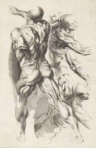 Anatomisk undersøgelse af tre figurer med strakte arme Tegnebogen af ​​Peter Paul Rubens (serietitel)