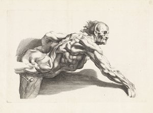 Anatomisk undersøgelse af lænende mand Tegnebogen af ​​Peter Paul Rubens (serietitel)