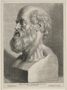 Hippokrates af Paulus Pontius