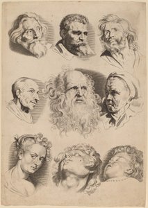 Ni hoveder af Paulus Pontius after Sir Peter Paul Rubens