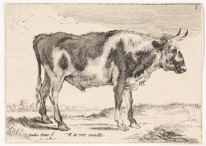 plettet okse Okser og køer (serietitel) af Paulus Potter (rejected attribution)