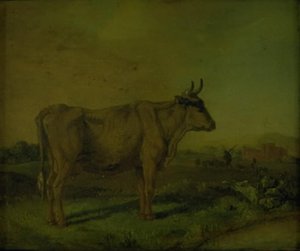 En ko af Paulus Potter