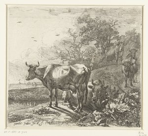 hyrden af Paulus Potter