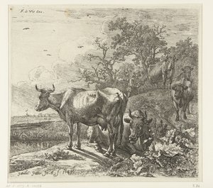 hyrden af Paulus Potter