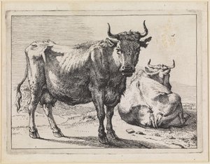  af Paulus Potter