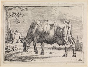  af Paulus Potter