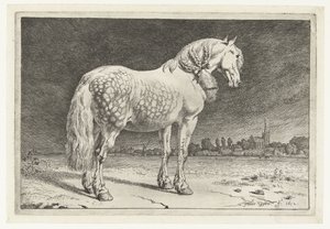 Den frieske hest Heste (serietitel) af Paulus Potter
