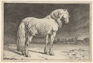 Den frieske hest Heste (serietitel) af Paulus Potter
