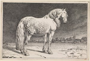  af Paulus Potter