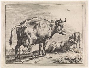 Pis The Bullen pjece (serietitel) af Paulus Potter