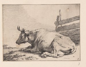 Koen, der ligger ned ved et hegn, fra Forskellige okser og køer af Paulus Potter