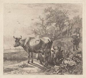 Kohyrden af Paulus Potter