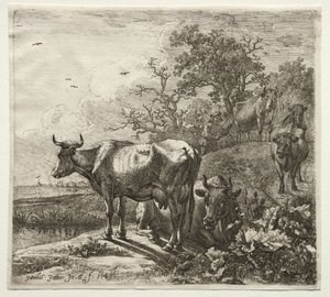 Kohyrden af Paulus Potter