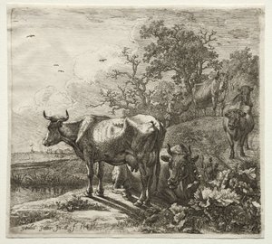 Kohyrden. af Paulus Potter