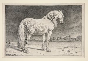 Friesland-hesten af Paulus Potter