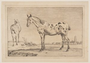 Den brummende hest, fra Serie af heste af Paulus Potter
