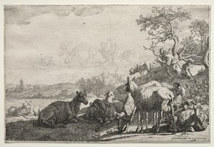 Hyrden af Paulus Potter