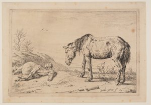 Den slidte hest, (La Mazette), fra Serie af heste af Paulus Potter
