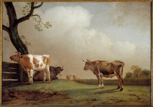 Engen En flok køer i en præ. Maleri af Paul Potter (1625-1654) 1652 søn. 0,84x1,21 m