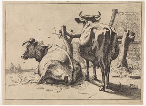 To køer set bagfra The Bullen-hæftet (serietitel) af Paulus Potter