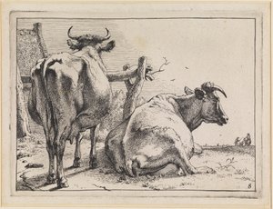  af Paulus Potter