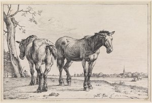  af Paulus Potter