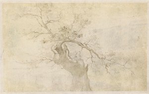 Studie af et knudret træ af Paulus Willemsz. van Vianen