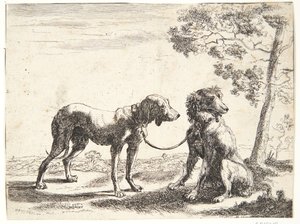 To hunde bundet sammen af Paulus van Hillegaert (II)