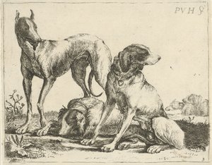 Tre hunde Forskellige hunde (serietitel)