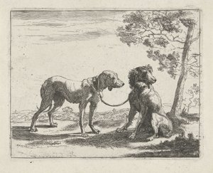 To hunde Hunde (serietitel)
