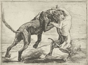 To kamphunde Hunde (serietitel)